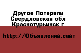 Другое Потеряли. Свердловская обл.,Краснотурьинск г.